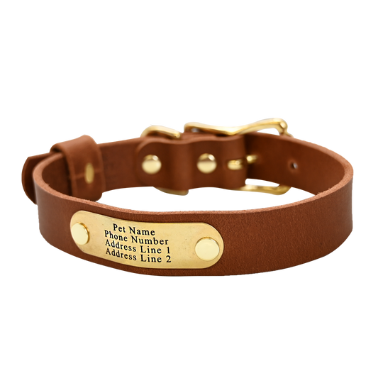 Distressed Tan Collar - Brass Nameplate