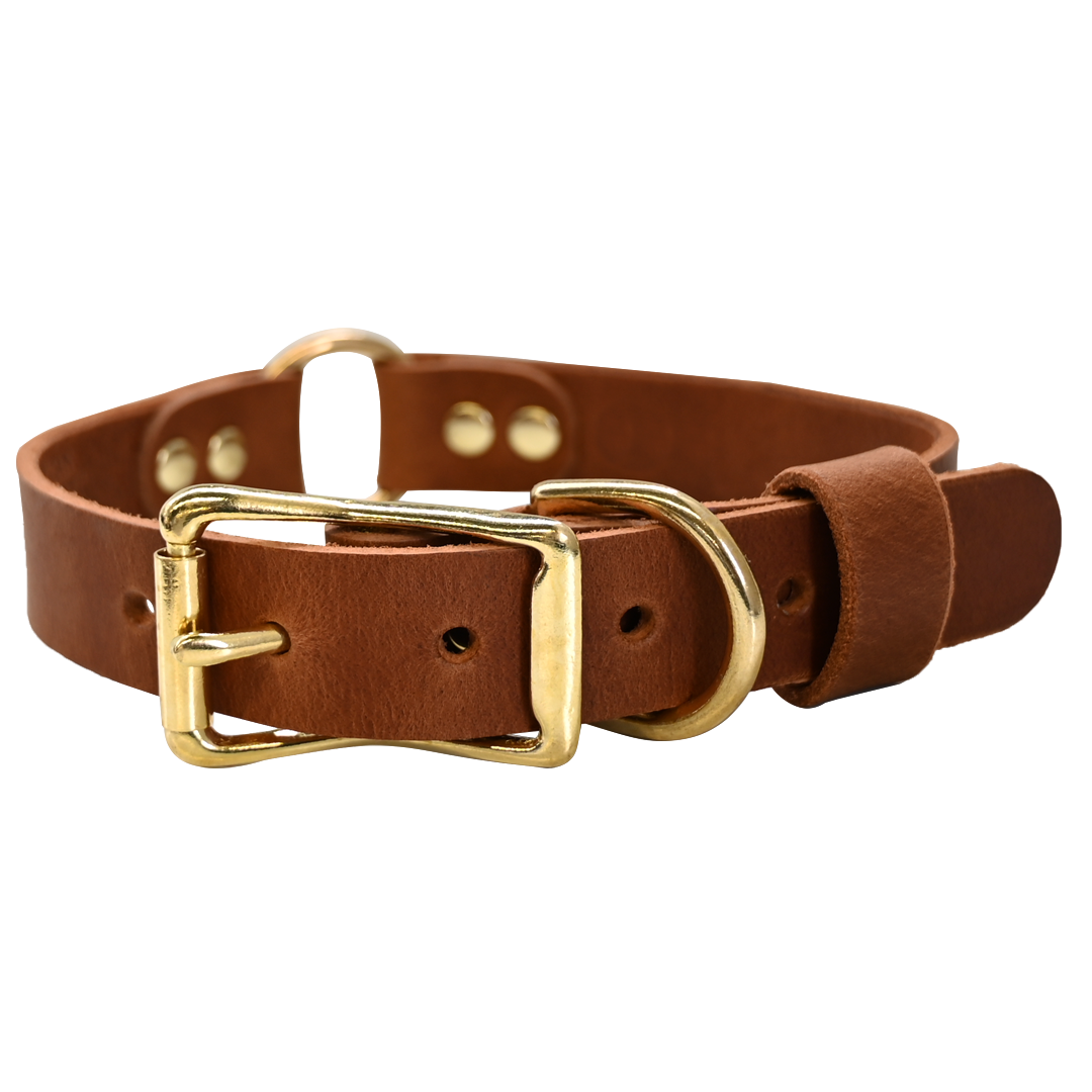 Hunting Dog Collar - Distressed Tan - Brass