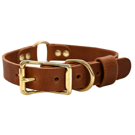 Hunting Dog Collar - Distressed Tan - Brass