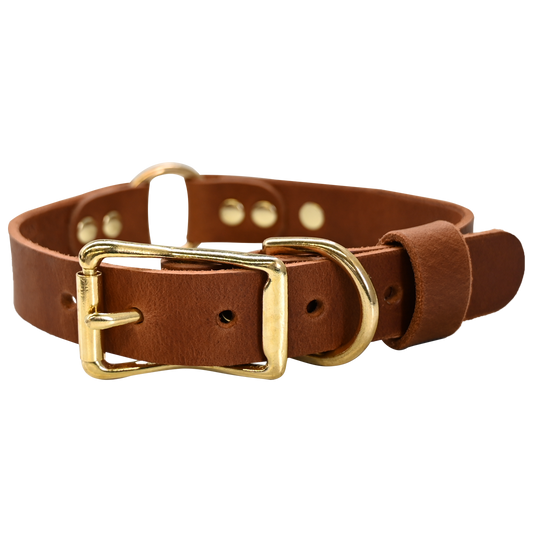 Personalized Hunting Dog Collar - Distressed Tan - Brass Hardware