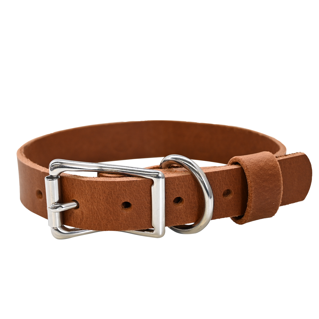 Standard Dog Collar - Distressed Tan - Nickel 