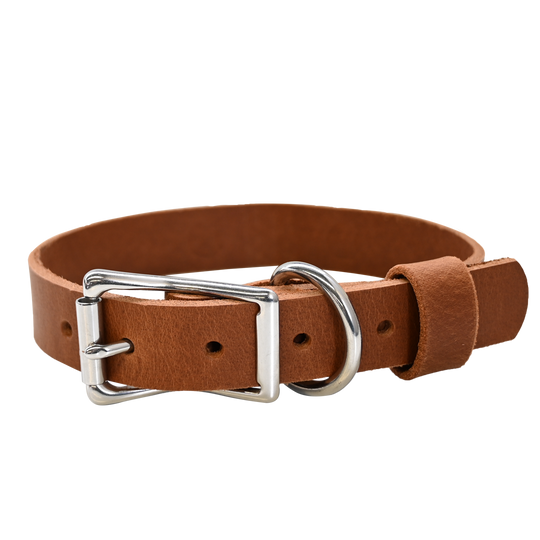 Standard Dog Collar - Distressed Tan - Nickel 