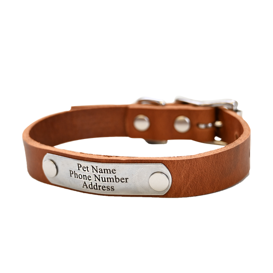 Small Breed Dog Collar - Distressed Tan - Nickel Plate