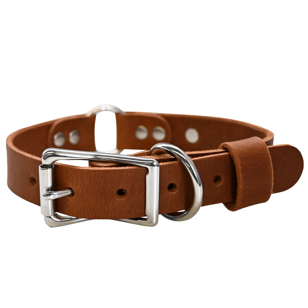 Personalized Hunting Dog Collar - Distressed Tan - Nickel Hardware