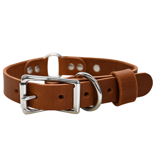Personalized Hunting Dog Collar - Distressed Tan - Nickel Hardware