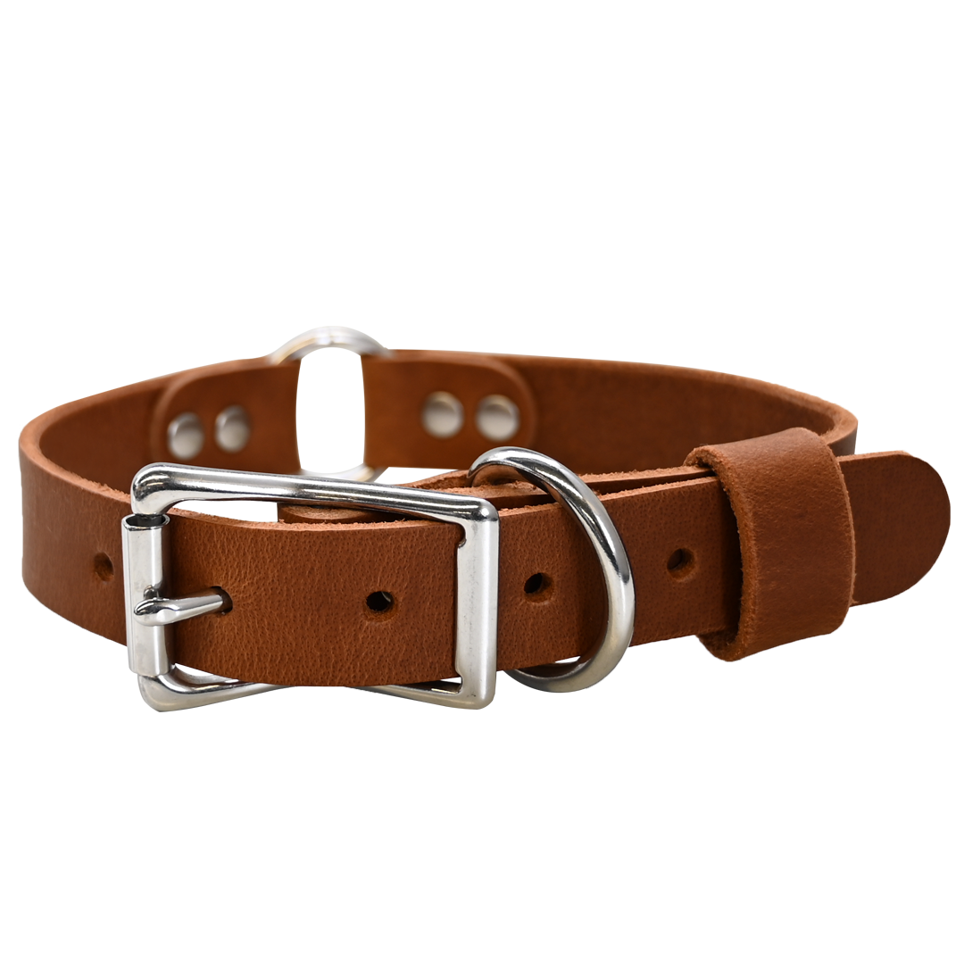 Hunting Dog Collar - Distressed Tan - Nickel