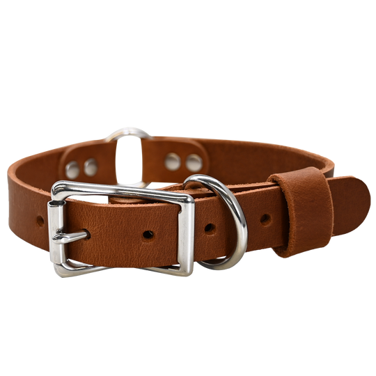 Hunting Dog Collar - Distressed Tan - Nickel
