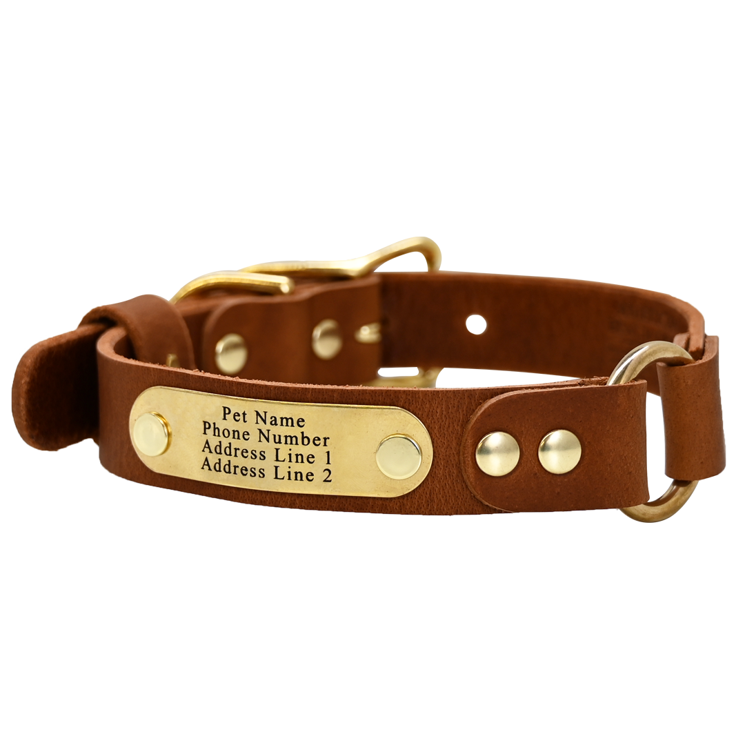 Personalized Hunting Dog Collar - Distressed Tan - Brass Plate