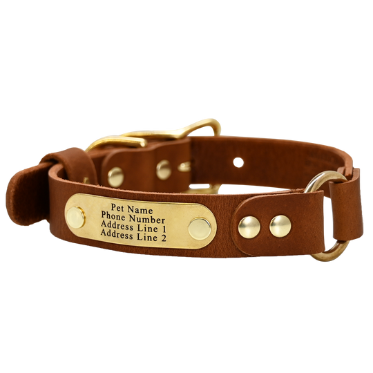 Personalized Hunting Dog Collar - Distressed Tan - Brass Plate