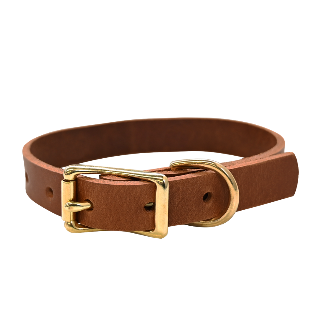 Small Breed Dog Collar - Distressed Tan - Brass