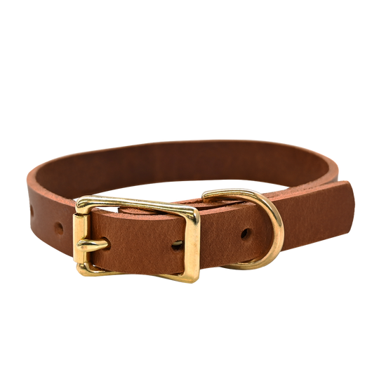 Small Breed Dog Collar - Distressed Tan - Brass