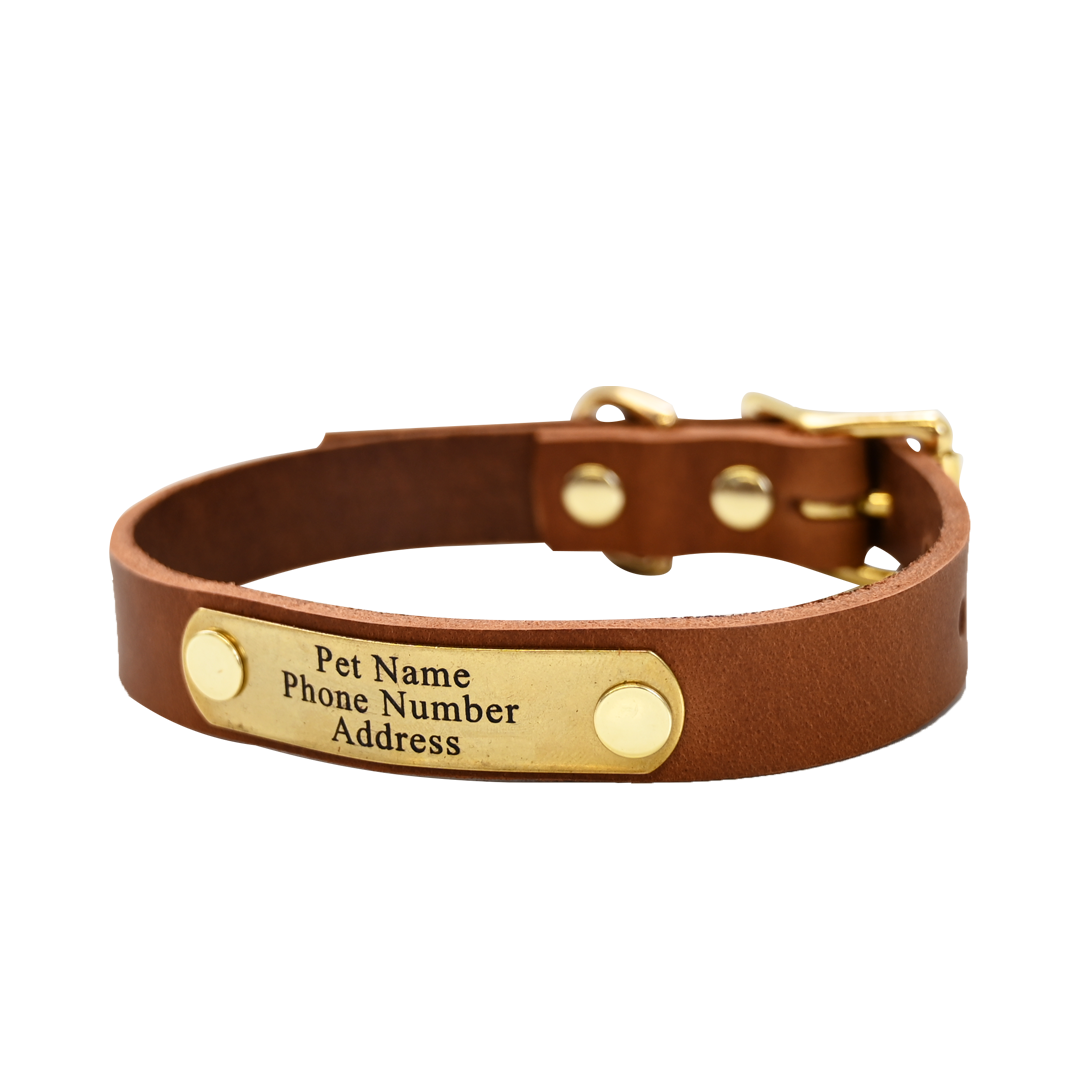 Small Breed Dog Collar - Distressed Tan - Brass Plate