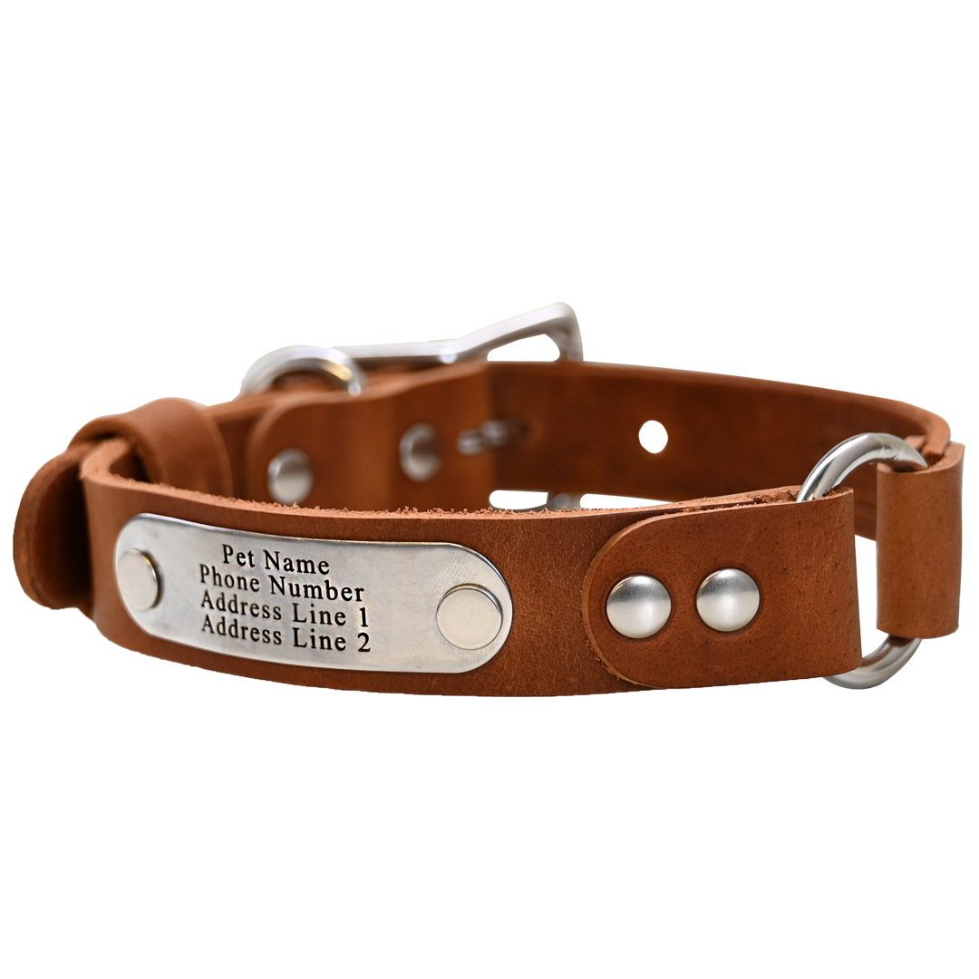 Personalized Hunting Dog Collar - Distressed Tan - Nickel Plate