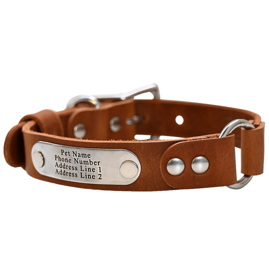 Personalized Hunting Dog Collar - Distressed Tan - Nickel Plate