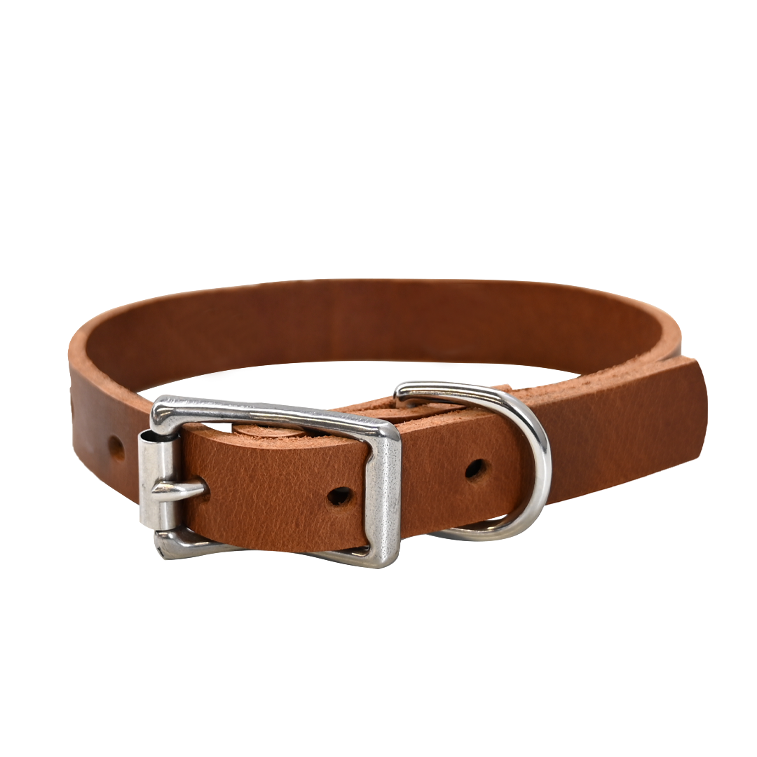 Small Breed Dog Collar - Distressed Tan - Nickel