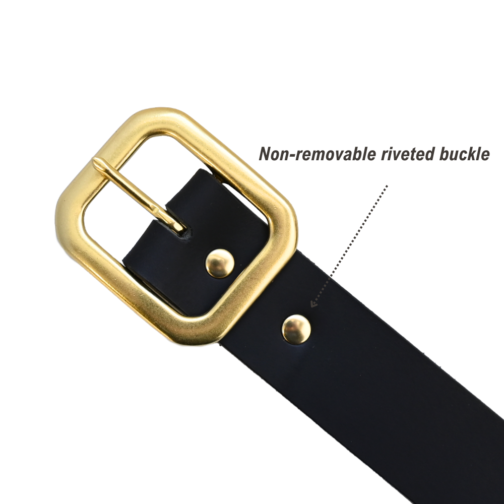 Winona Belt - Black - Brass - Buckle