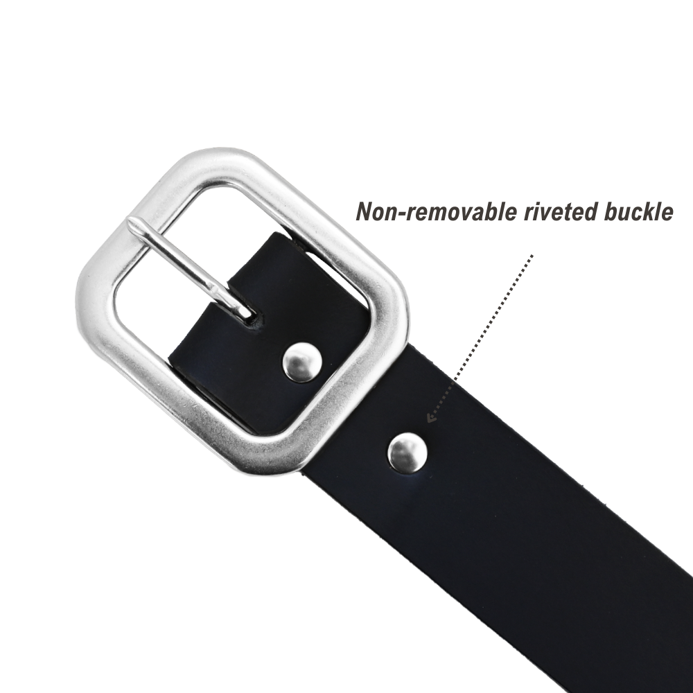 Winona Belt - Black - Nickel - Buckle