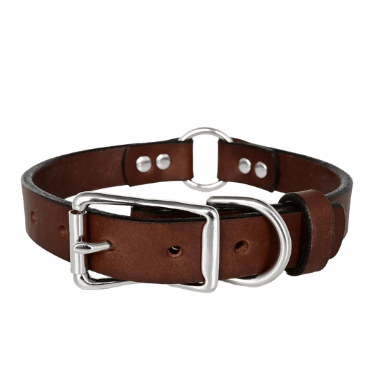 Center Ring Dog Collar--American Bench Craft-ABC-PP-ORCL-BR-NI