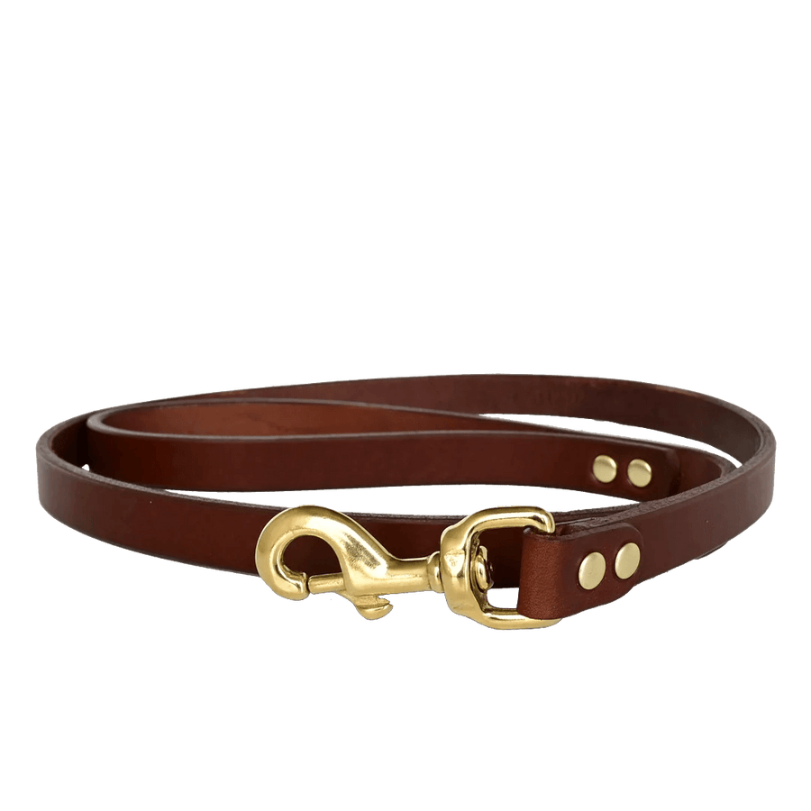 Dog Leash American Bench Craft