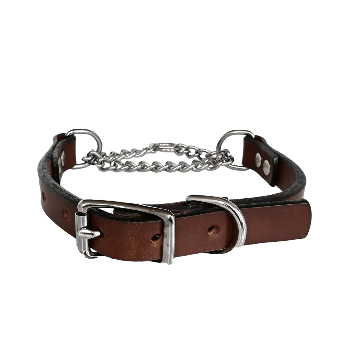 Martingale Dog Collar--American Bench Craft-ABC-PP-MART-BR