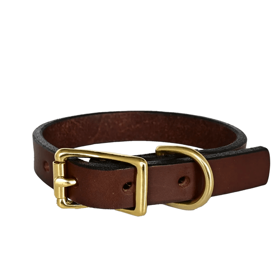 Leather dog collars hot sale for small dogs