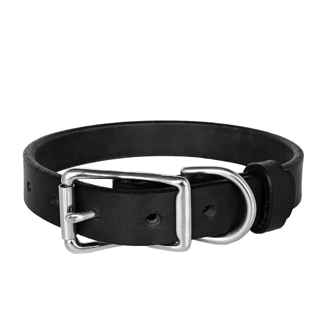 Standard Dog Collar--American Bench Craft-ABC-PP-SLC-BL-NI
