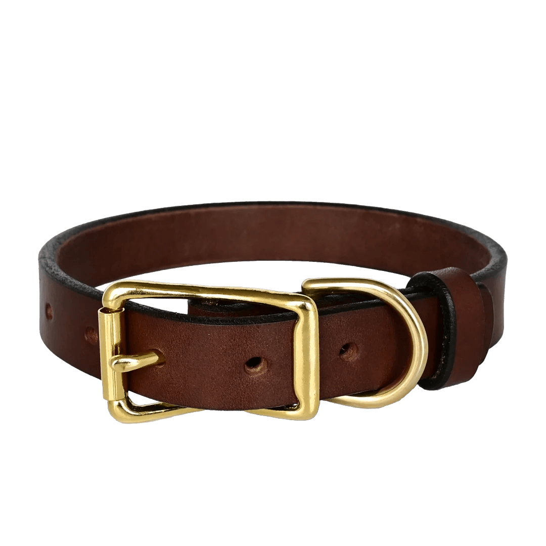 Standard Dog Collar--American Bench Craft-ABC-PP-SLC-BR-BR