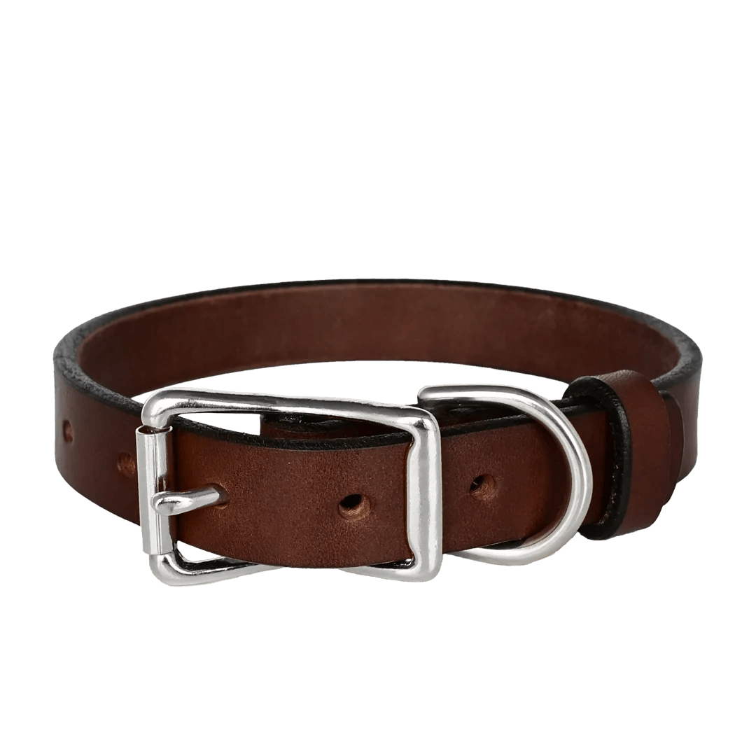 Standard Dog Collar--American Bench Craft-ABC-PP-SLC-BR-NI